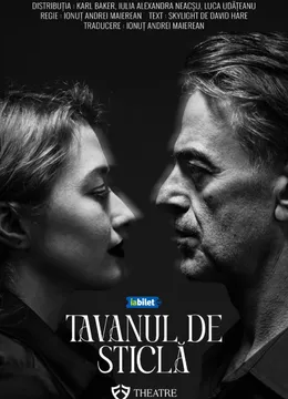 Timisoara: Tavanul de sticla