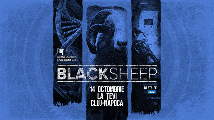 Cluj-Napoca: Concert BlackSheep