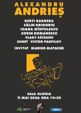 Concert Alexandru Andries