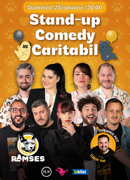 The Fool: Stand-up Maraton Caritabil Ramses