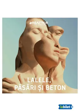 Sibiu: "Lalele, păsări și beton”