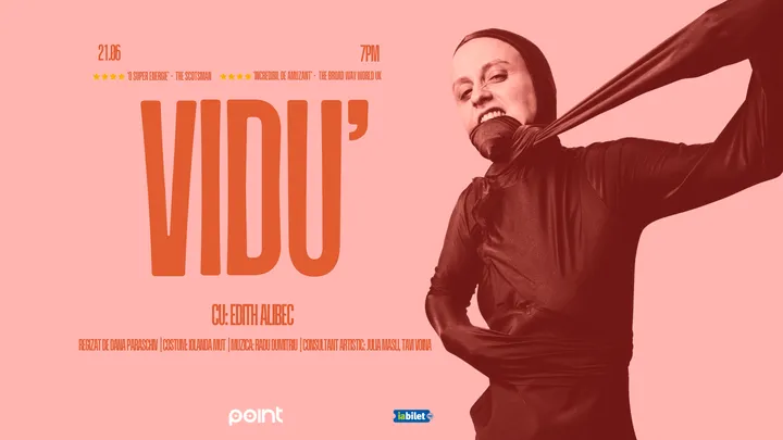 VIDU'