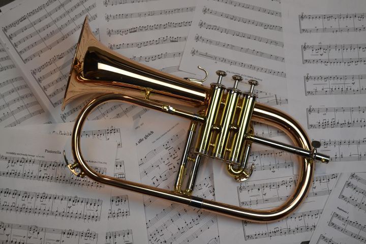 Sibiu: Concert educativ TROMBA FELIX