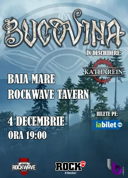 Baia Mare: Concert Bucovina