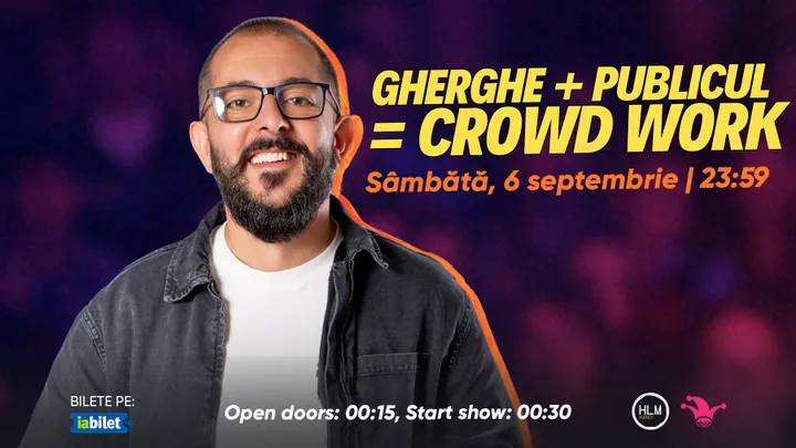 The Fool: Gherghe + Publicul = Crowdwork