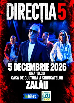 Zalau: Concert Direcția 5 - „100% Direcția 5”
