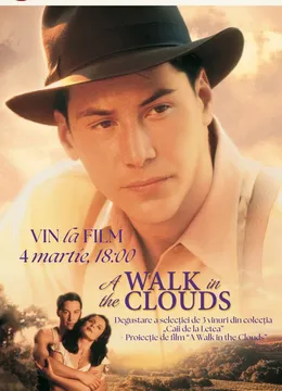 Vin la Film – A Walk in the Clouds