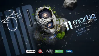 Concert Florin Ristei