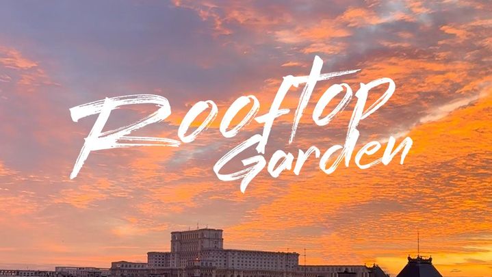 TeddyBear presents ROOFTOP GARDEN