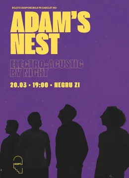 Iasi: Adam's Nest electro-acustic by night