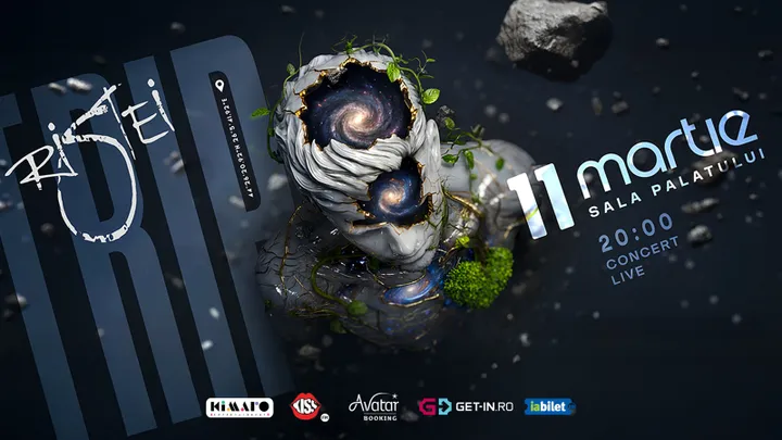 Concert Florin Ristei