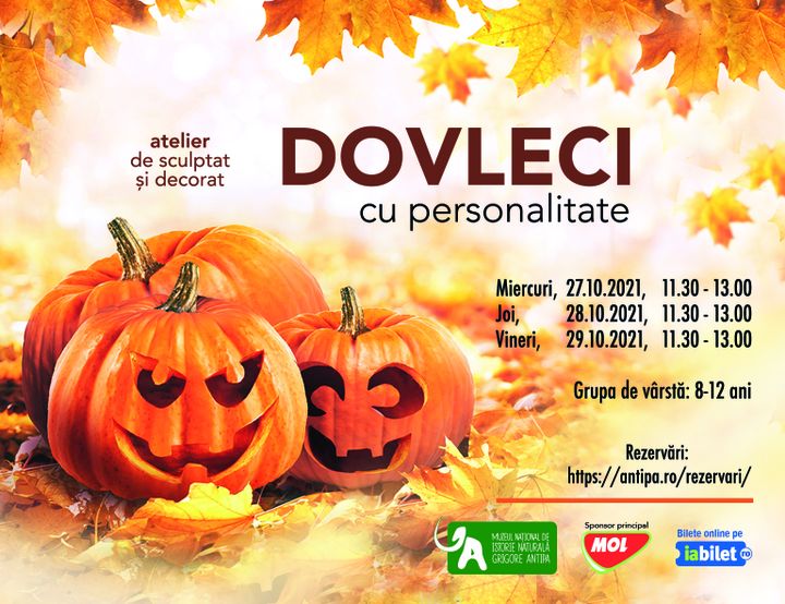Ateliere de sculptat și decorat dovleci cu personalitate