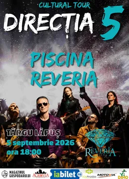 Târgu Lăpuș: Directia 5 - Cultural Tour