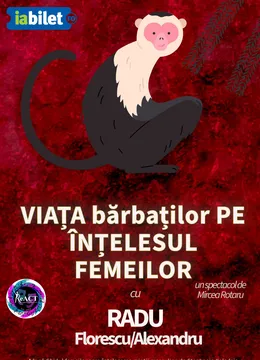 Viața bărbaților pe înțelesul femeilor