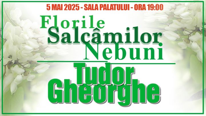 Tudor Gheorghe - Florile Salcâmilor Nebuni