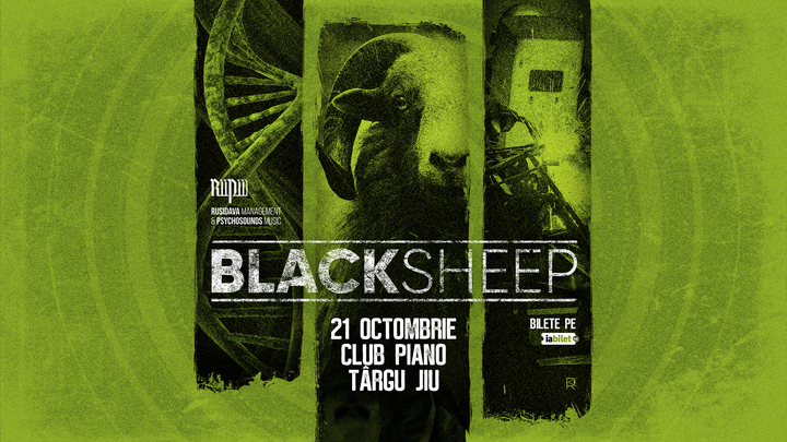Targu Jiu: Concert BlackSheep