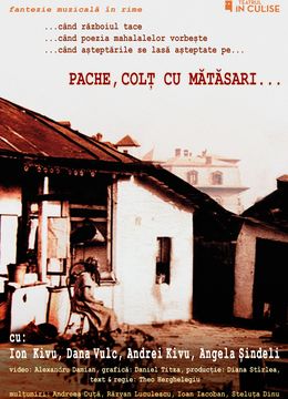 Pache, colț cu Mătăsari...