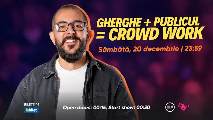 The Fool: Gherghe + Publicul = Crowdwork