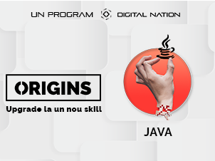 Origins: curs intensiv de programare Java