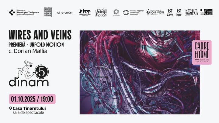 Timisoara: Wires and Veins - PREMIERĂ