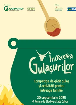 Brasov: Întrecerea Gulașurilor, ediția a III-a