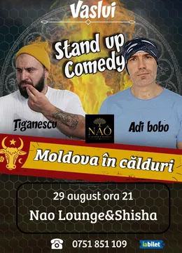 Vaslui: Stand-up comedy cu Tiganescu si Adi Bobo | Moldova in calduri