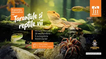 Cluj-Napoca: Expoziție educativă de Tarantule și reptile vii