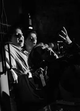 Timisoara: Monoloagele vaginului