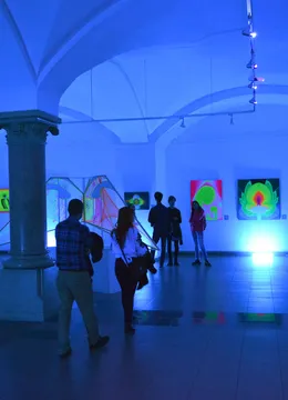 Muzeul Național Brukenthal - Muzeul de Artă Contemporană