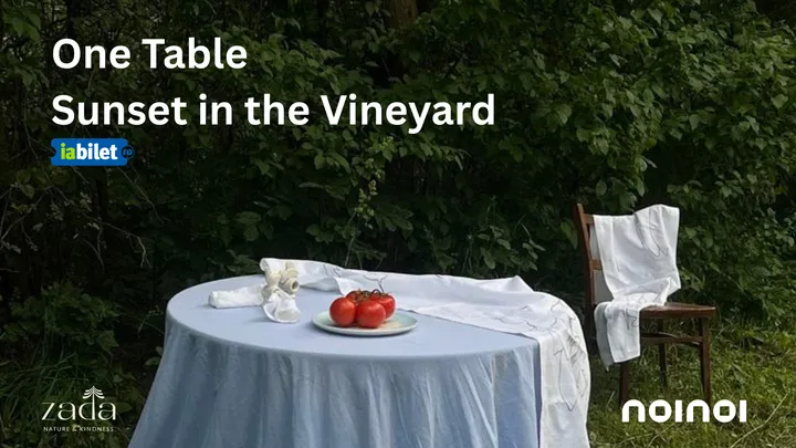 Iași: One Table • Sunset in the Vineyard