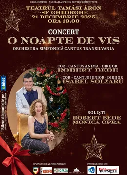 Sfantu Gheorghe: O noapte de vis