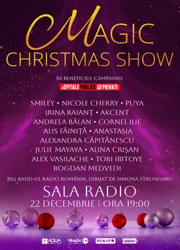 Magic Christmas Show