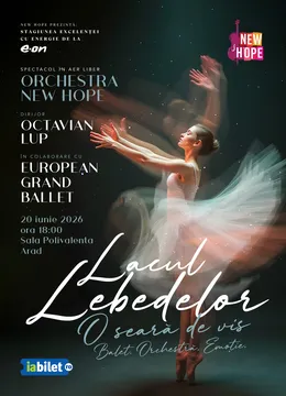 Arad: Lacul Lebedelor