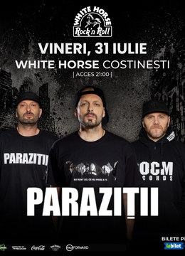 Costinesti: Concert Parazitii