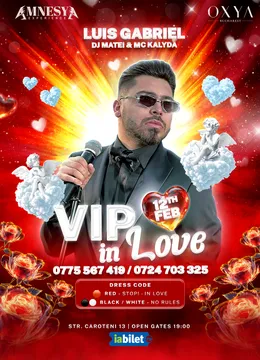 Vip in love party