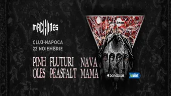 Cluj-Napoca: Pinholes, Fluturi pe Asfalt și Nava Mamă