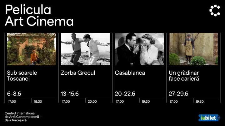 Iasi: Pelicula Art Cinema