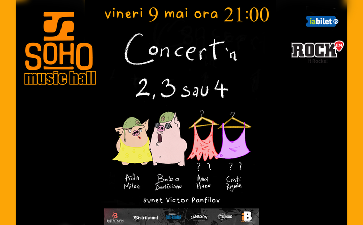 Bistrița: Ada Milea - Concert'n 2, 3 sau 4