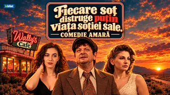Botoșani: Fiecare soț distruge puțin viața soției sale - PREMIERĂ