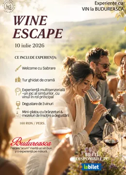 Gura Vadului: Wine Escape