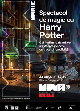 Spectacol de magie cu Harry Potter