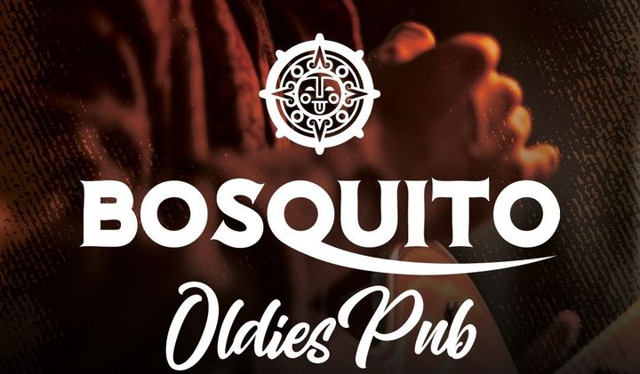 Sibiu: Concert Bosquito