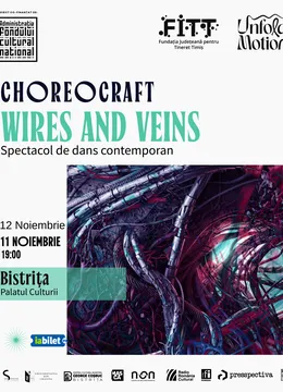 Spectacol de dans contemporan (Choreocraft)