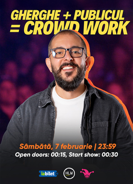 The Fool: Gherghe + Publicul = Crowdwork
