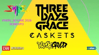 Three Days Grace @ Shine Festival @ Romexpo