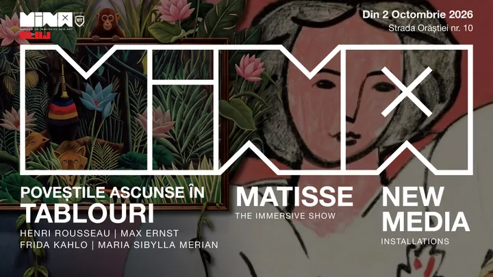 Povești ascunse în tablouri + Matisse & NMI