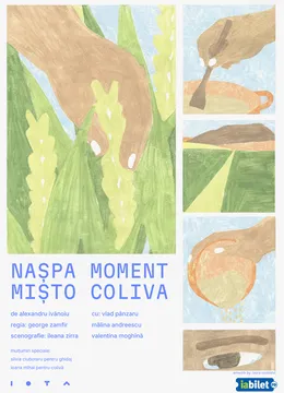 Nașpa moment / mișto coliva