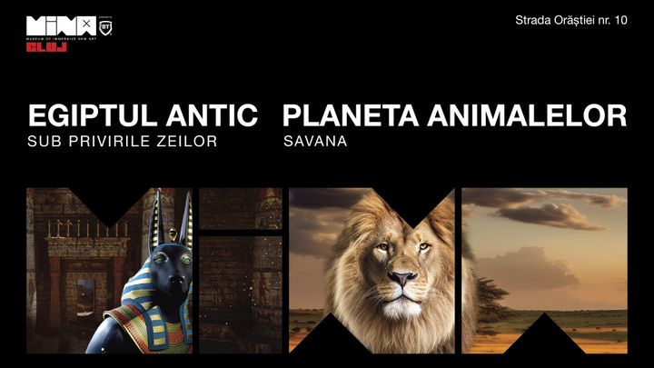 Egiptul Antic + Planeta Animalelor - The Immersive Show