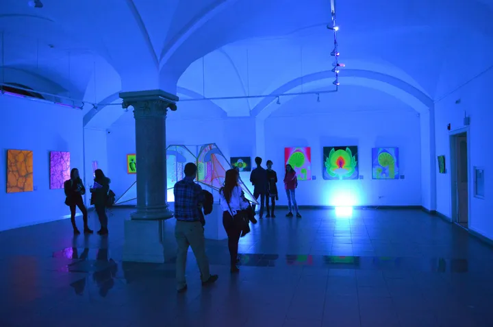 Muzeul Național Brukenthal - Muzeul de Artă Contemporană