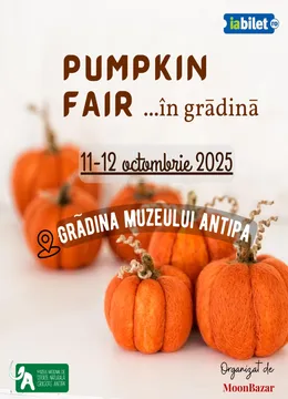 Pumpkin Fair în gradină